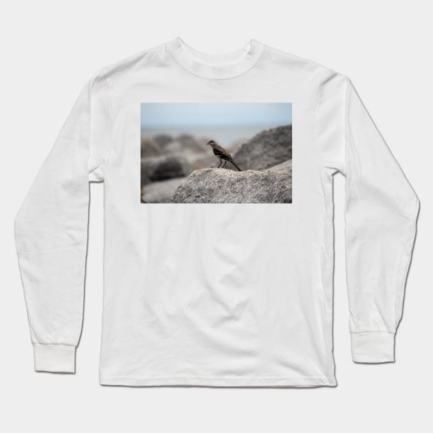 Bird On A Rock By The Sea Long Sleeve T-Shirt by Cynthia48